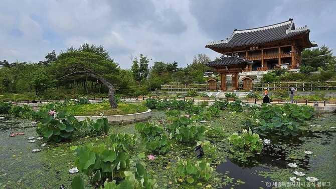 Discover Sejong Arboretum - image 20