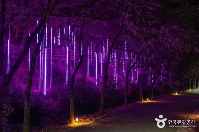 Discover Bucheon Natural Ecology Park - image 18