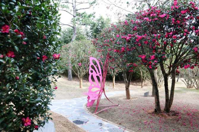 Discover 1004 Islands Bonsai Garden - image 7