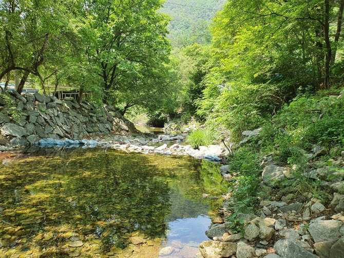 Discover Gumsan Starry Night Camping - image 10