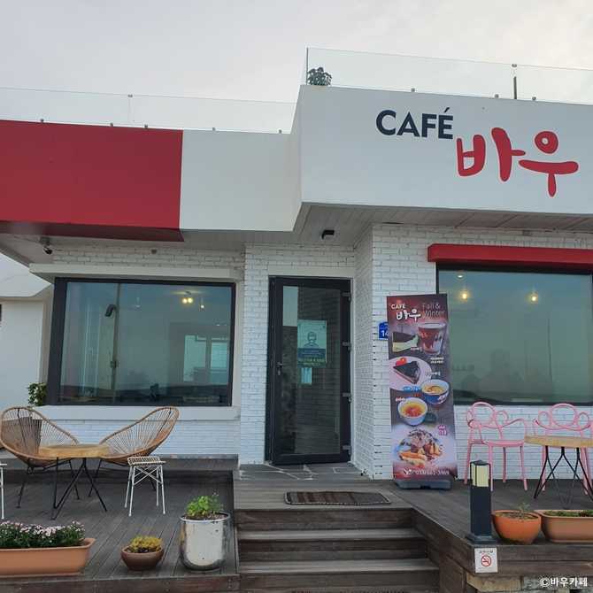 강릉 영진해변 카페 추천, 바우카페의 매력과 방문 팁 3