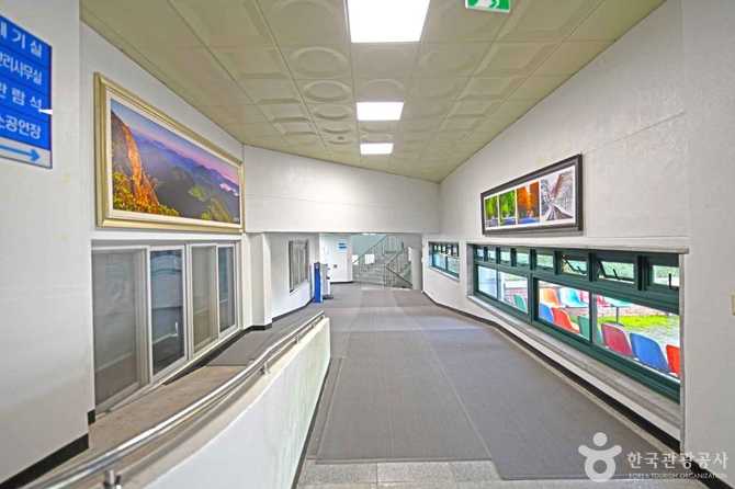 Jinan Cultural and Sports Center - image 4