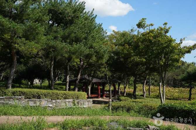 수원 시민문화체육공원: 자연과 휴식을 동시에 누릴 수 있는 대규모 복합공원 3