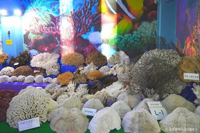 Ulsan Marine Museum - image 4