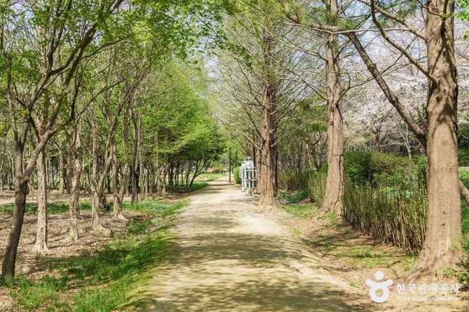 경기도 고양시 대화농업체험공원, 가족과 함께하는 농촌 체험 공간 3
