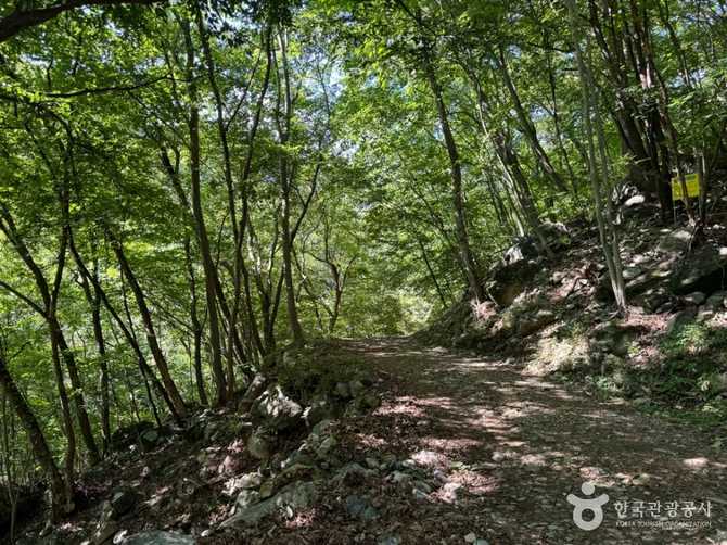 Discover the Beauty of Cheolgu - image 4