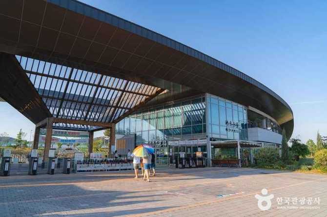 Discover Sejong Arboretum - image 21