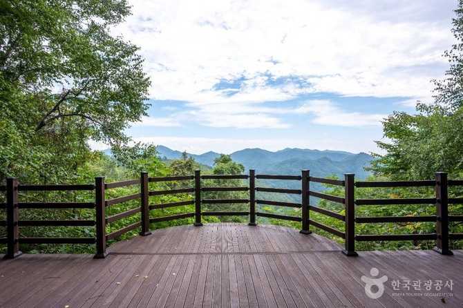 Discover the Beauty of Yeongyang - image 11