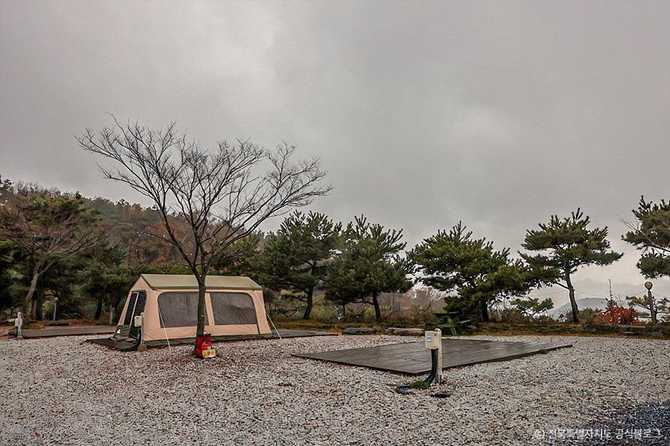 Lohas Camping Site in Jeongeup - image 3