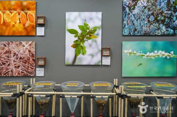 Experience Nature and Insects at - image 4