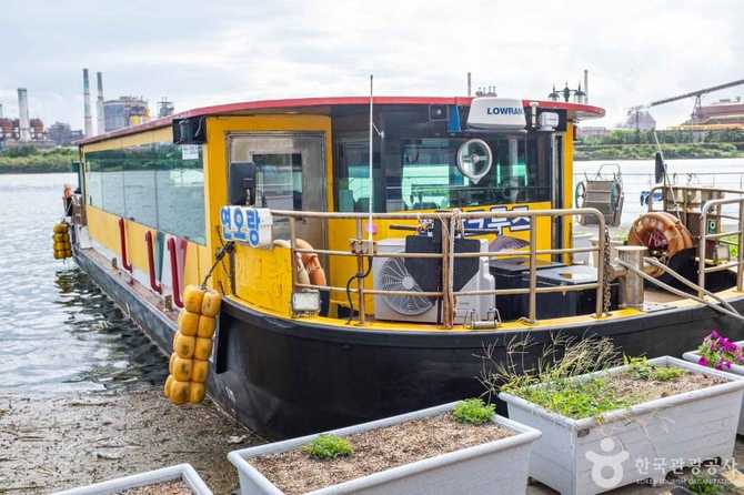 Pohang Cruise - image 3
