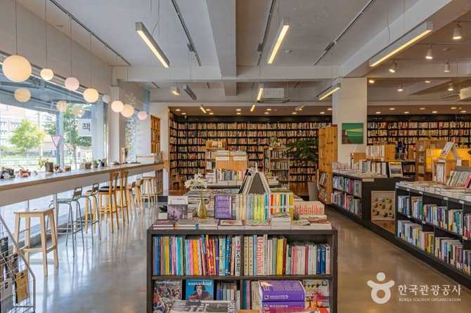 속초 동아서점: 65년 전통의 오래된 서점과 방문 팁 3