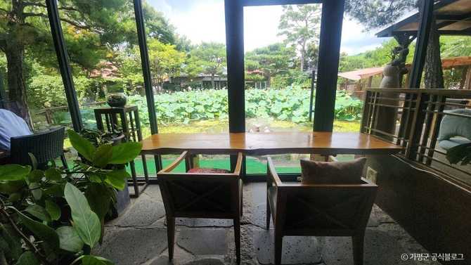 OroSii Flower Tea - image 1
