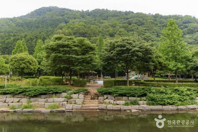 사천시 용두공원: 자연과 휴식을 동시에 누릴 수 있는 명소 3