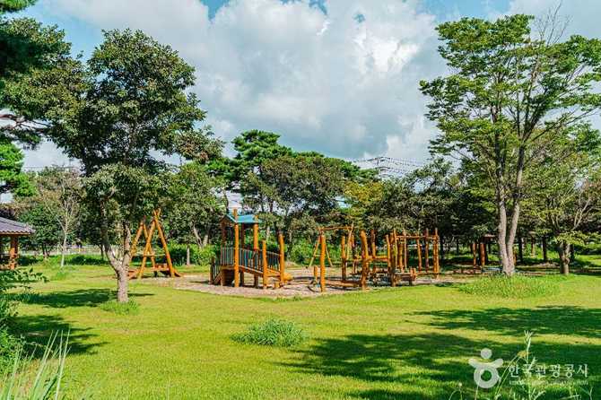 Discover Hampyeong Dalmaji Park - image 3