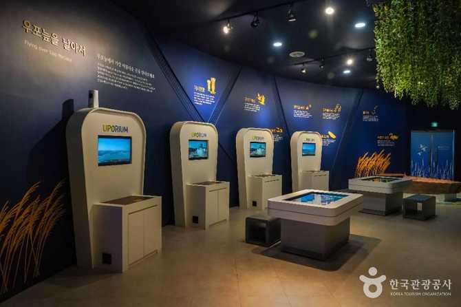 Upo Wetland Ecotourism Experience Center - image 4