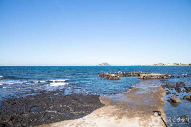 Jeju Panpo Port Snorkeling Guide - image 2