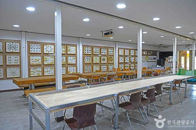 Suanbo Insect Museum - image 4