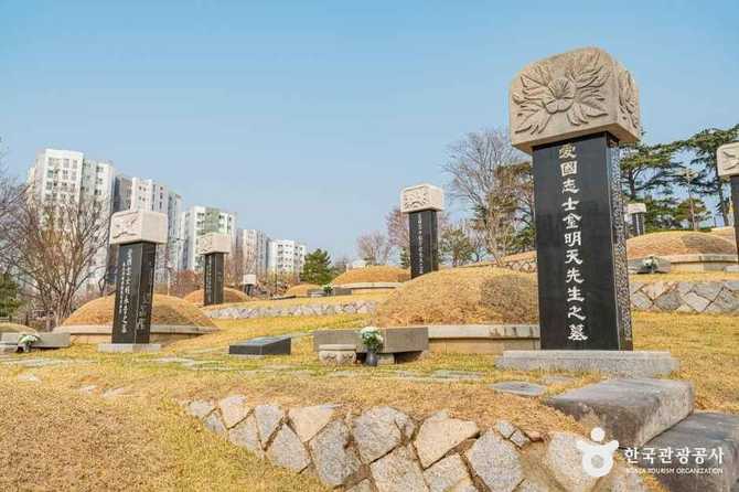 Discover the Significance of National - image 4