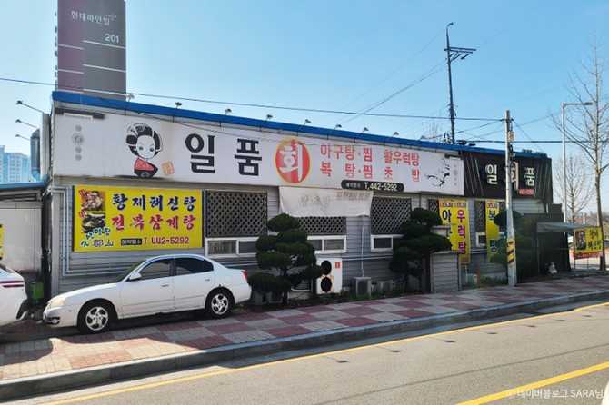 군산 일품회집: 신선한 해산물과 정성 가득한 일식 코스요리 추천 4