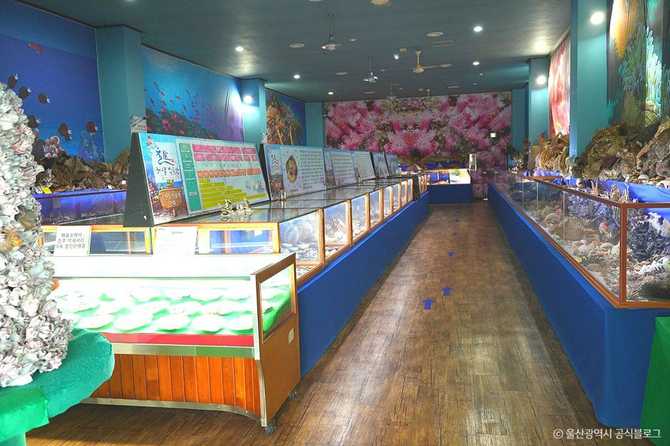 Ulsan Marine Museum - image 3