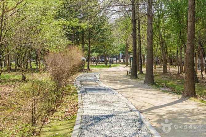 경기도 고양시 대화농업체험공원, 가족과 함께하는 농촌 체험 공간 4