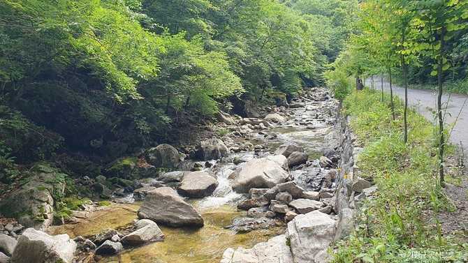 경기도 가평 강씨봉자연휴양림 소개 및 이용 정보 5