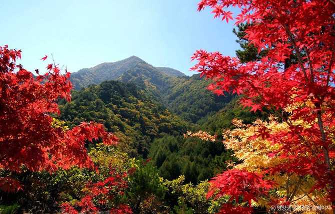 Discover Jeilwol Mountain - image 4