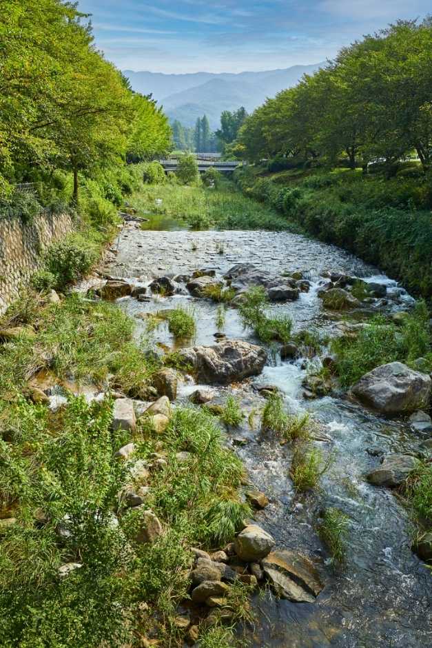 전북 김제 모악산도립공원 안내 및 관광 정보 4