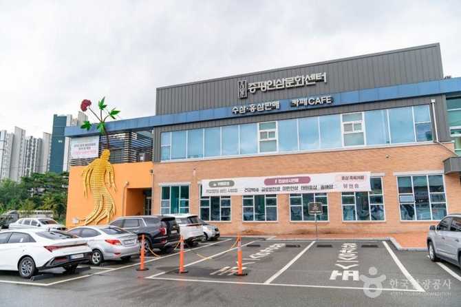 증평인삼문화센터: 인삼의 역사와 체험을 한 곳에서 즐기기 4
