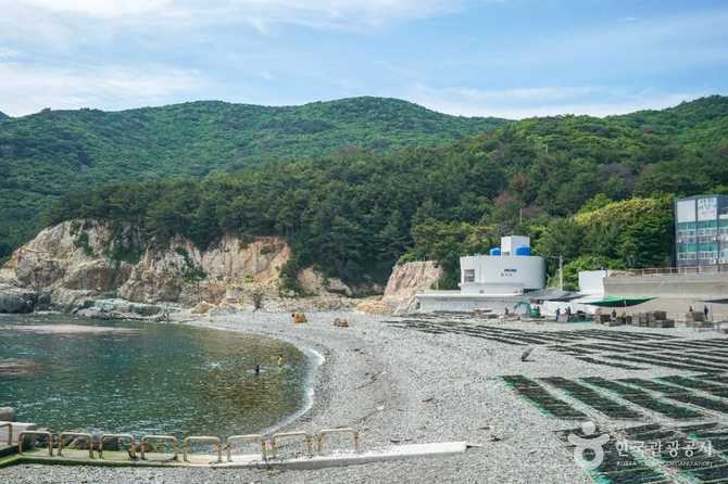 Discover Yeochamdong Beach - image 3