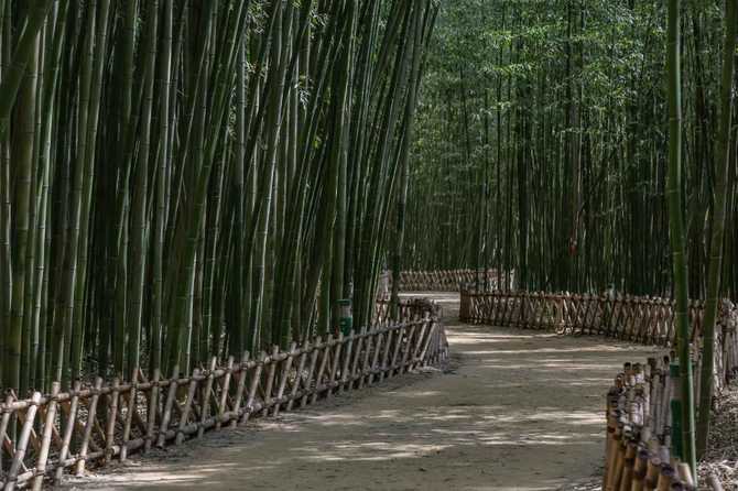 Explore Taehwagang National Garden - image 4