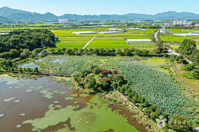 Discover Hampyeong Dalmaji Park - image 4