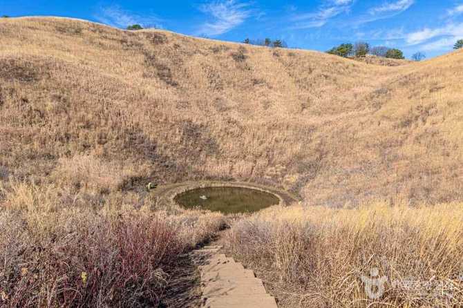 Discover the Beauty of Mt. - image 9