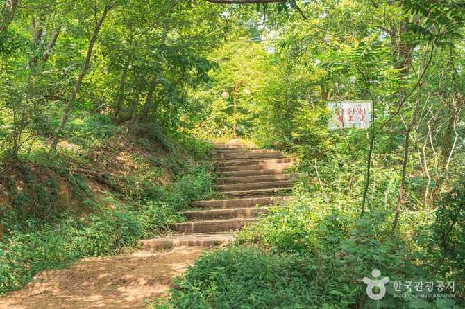 울산 문수산전망대 가볼 만한 명소와 전망 정보 5