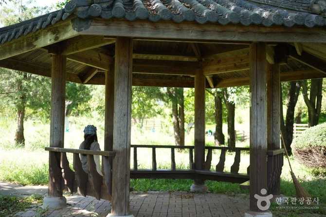 수원 시민문화체육공원: 자연과 휴식을 동시에 누릴 수 있는 대규모 복합공원 5