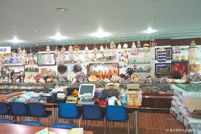 Ulsan Marine Museum - image 5