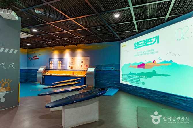 Discover the Marine Theme Experience - image 4