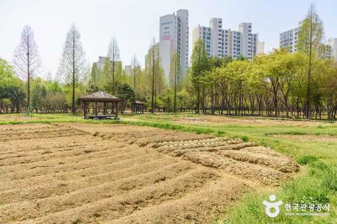 경기도 고양시 대화농업체험공원, 가족과 함께하는 농촌 체험 공간 5