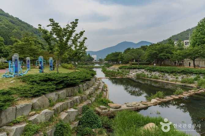 사천시 용두공원: 자연과 휴식을 동시에 누릴 수 있는 명소 5