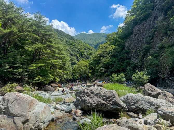 Discover the Beauty of Cheolgu - image 6