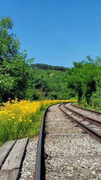 Asan Rail Bike Experience - image 5