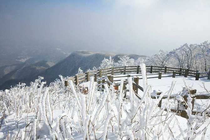 Discover Jeilwol Mountain - image 5