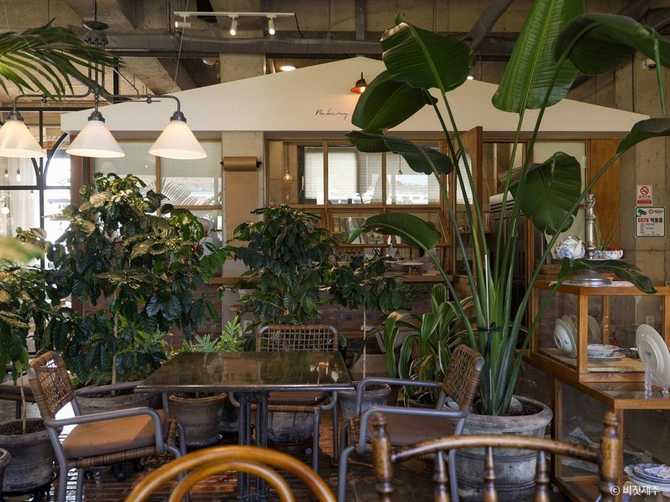 OraDiora Cafe in Seogwipo - image 3