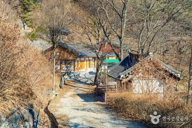 경상남도 함양 금대암, 역사와 문화유산이 살아있는 사찰 안내 5