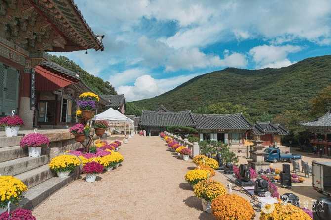Busan Beomeosa Temple - image 5