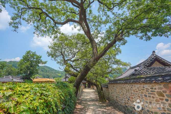 Seoncheon Nam Sarri Lee House - image 5
