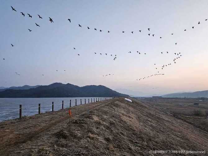 Discover Toge Reservoir - image 5