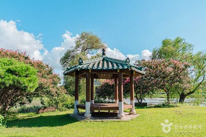 Discover Hampyeong Dalmaji Park - image 6