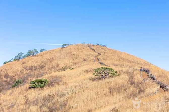 Discover the Beauty of Mt. - image 8
